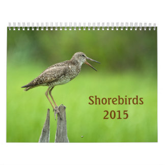 Kalender voor 2015 Shorevogels
