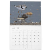Kalender voor 2015 Shorevogels (Mar 2027)
