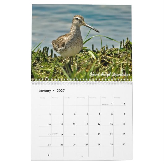 Kalender voor 2015 Shorevogels (Jan 2027)