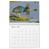 Kalender voor 2015 Shorevogels (Feb 2027)