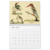 Kalender voor 2016 van Eleazar Albin (Mar 2027)
