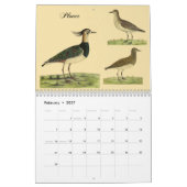 Kalender voor 2016 van Eleazar Albin (Feb 2027)