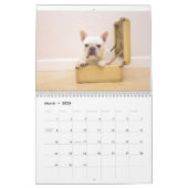 Kalender voor 2017 (Mar 2026)