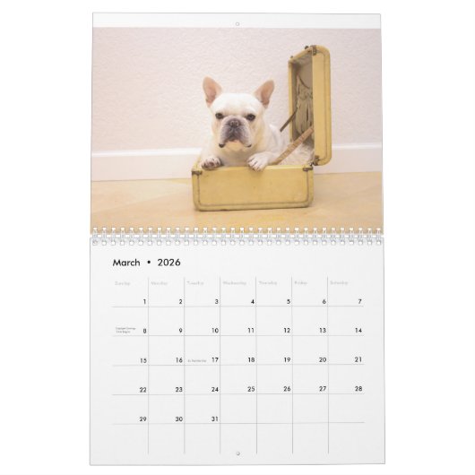 Kalender voor 2017 (Mar 2026)