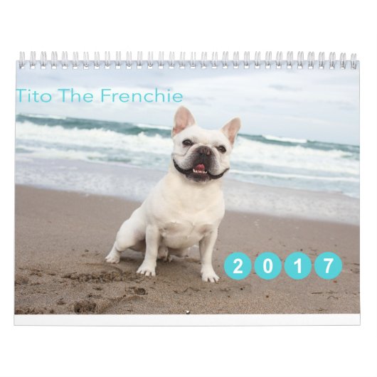 Kalender voor 2017 (Hoes)