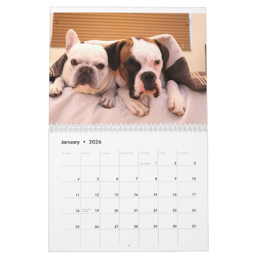 Kalender voor 2017 (Jan 2026)