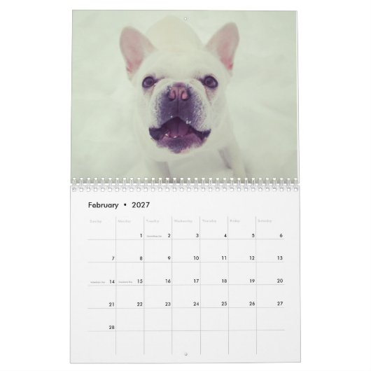 Kalender voor 2017 (Feb 2027)