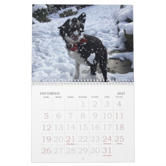 Kalender voor 2017 Border Collie (Dec 2027)