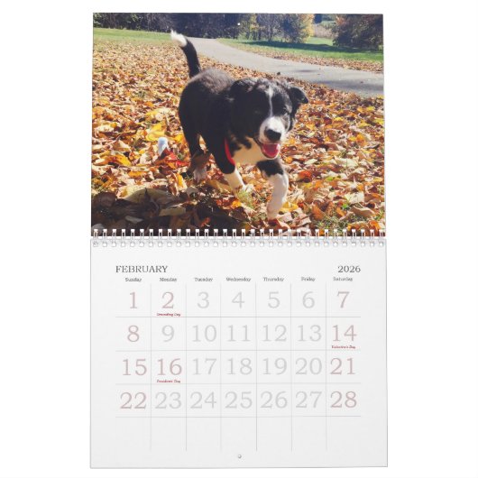 Kalender voor 2017 Border Collie (Feb 2026)