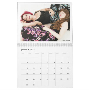 Kalender voor 2017 "Les Owlies"