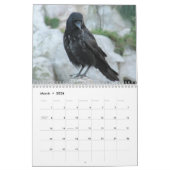 Kalender voor 2017 voor Kroegen, Magpies en Ravens (Mar 2026)