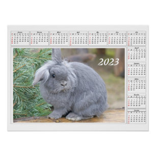 Kalender voor 2023 Cute gray konijn Perfect Poster