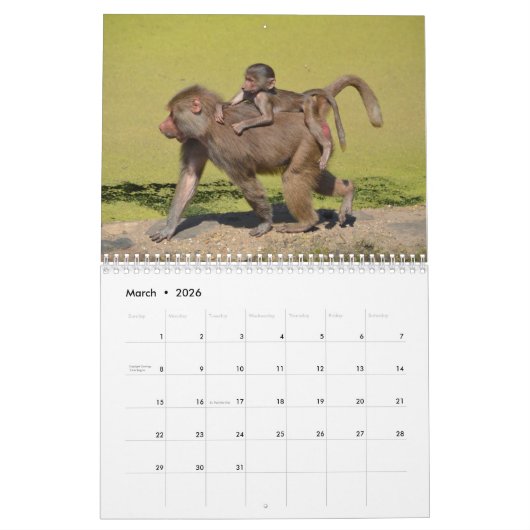 Kalender voor apen en appes 2016 (Mar 2026)