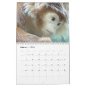 Kalender voor apen en appes 2016 (Feb 2026)