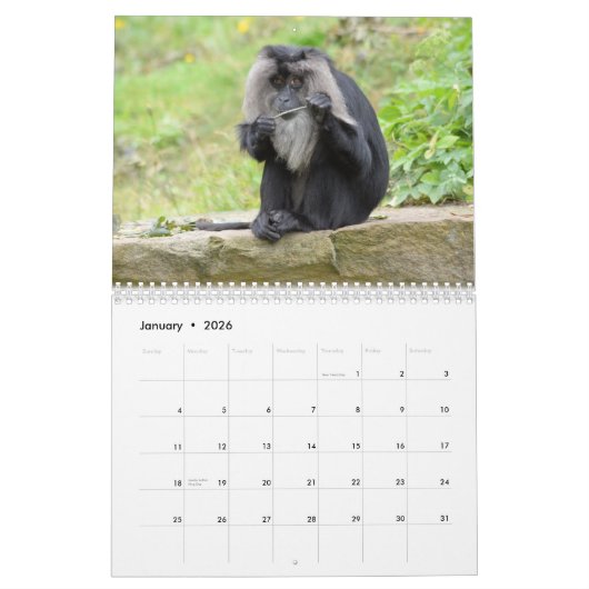 Kalender voor apen en appes 2016 (Jan 2026)