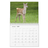 Kalender voor babydieren (Jan 2027)