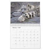 Kalender voor babydieren (Feb 2027)