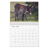 Kalender voor babydieren (Mar 2027)