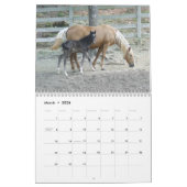 Kalender voor bergpaarden in 2014 (Mar 2026)