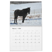 Kalender voor bergpaarden in 2014 (Feb 2026)
