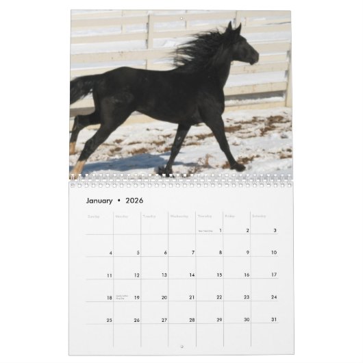 Kalender voor bergpaarden in 2014 (Jan 2026)