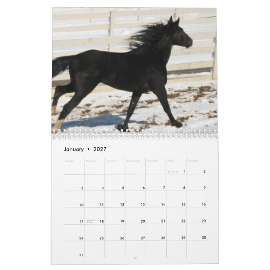 Kalender voor bergpaarden in 2014 (Jan 2027)