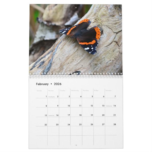 Kalender voor bestuivers (Feb 2026)