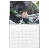 Kalender voor Borneo Rainforest Animals (Mar 2026)