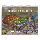 Kalender voor Borneo Rainforest Animals (Hoes)