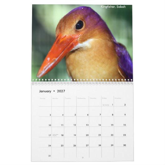 Kalender voor Borneo Rainforest Animals (Jan 2027)