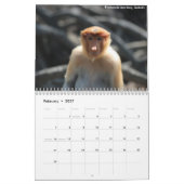 Kalender voor Borneo Rainforest Animals (Feb 2027)
