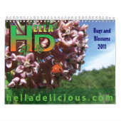 Kalender voor bugs en bloesems 2011 (Hoes)