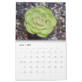 Kalender voor carnivoren Planten (Mar 2027)