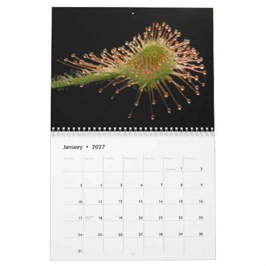Kalender voor carnivoren Planten (Jan 2027)
