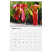 Kalender voor carnivoren Planten (Feb 2027)