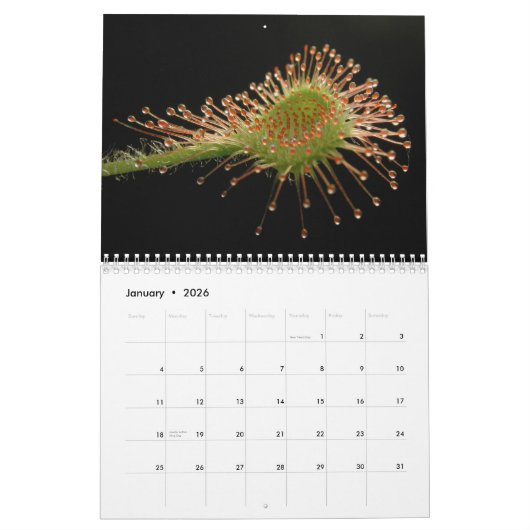 Kalender voor carnivoren Planten (Jan 2026)