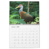 Kalender voor Costa Rica (Jan 2027)