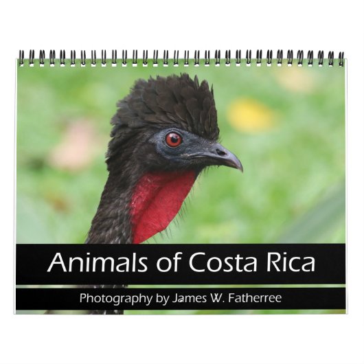 Kalender voor Costa Rica (Hoes)