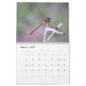 Kalender voor Damselflies en Dragonflies (Feb 2026)