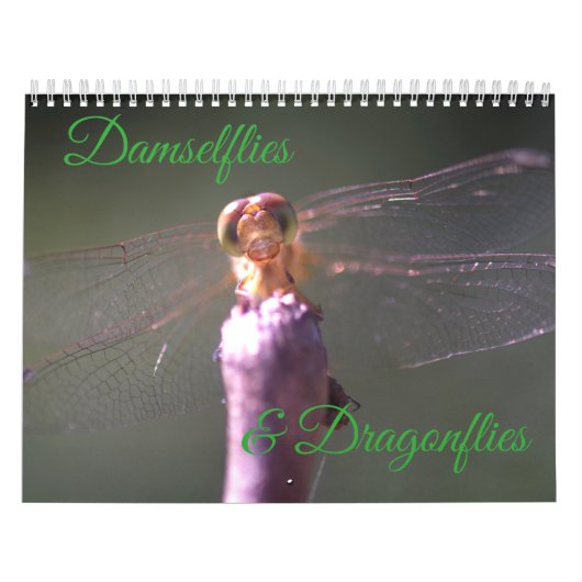 Kalender voor Damselflies en Dragonflies (Hoes)