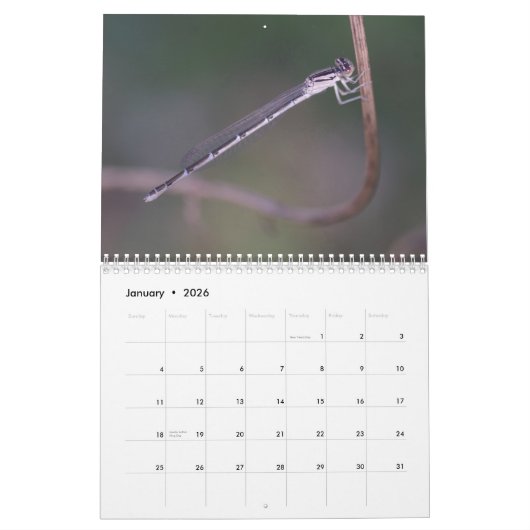 Kalender voor Damselflies en Dragonflies (Jan 2026)