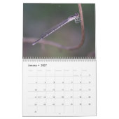 Kalender voor Damselflies en Dragonflies (Jan 2027)