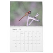Kalender voor Damselflies en Dragonflies (Feb 2027)