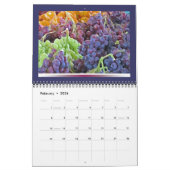 Kalender voor de landbouwmarkt 2015 (Feb 2026)