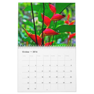 Kalender voor de natuur van Hawaiian.