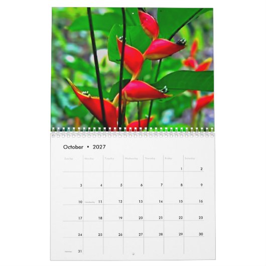 Kalender voor de natuur van Hawaiian. (Okt 2027)