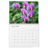 Kalender voor de natuur van Hawaiian. (Jan 2027)