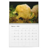 Kalender voor de vaarzen 2012 (Feb 2026)