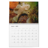 Kalender voor de vaarzen 2012 (Mar 2027)