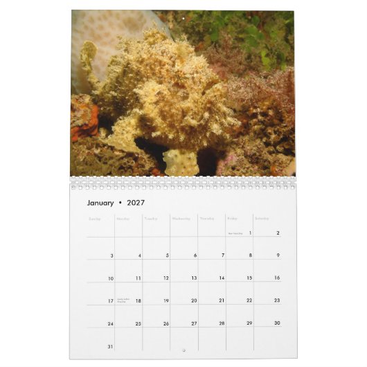 Kalender voor de vaarzen 2012 (Jan 2027)